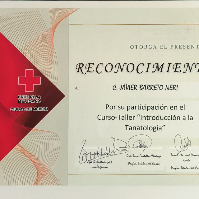 Ampliar imagen: certificate 6