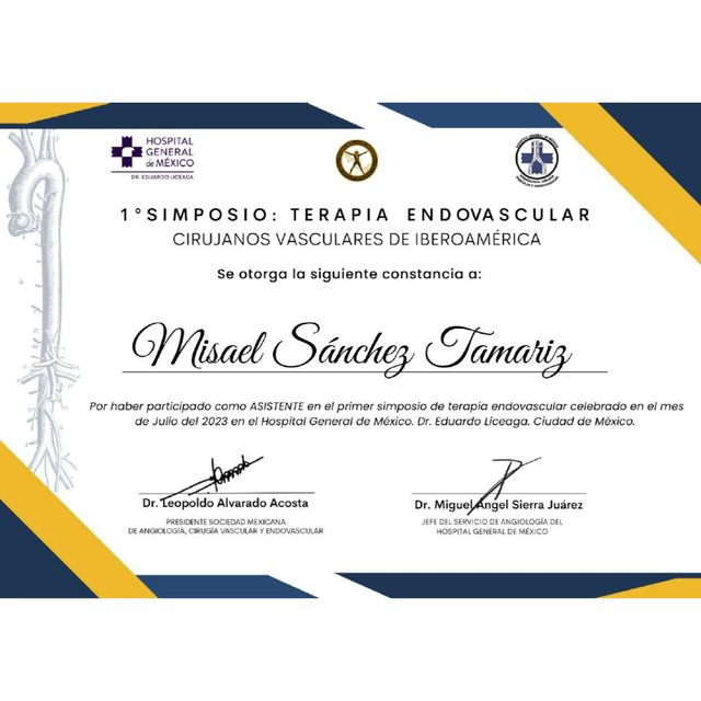 Ampliar imagen: certificate 3