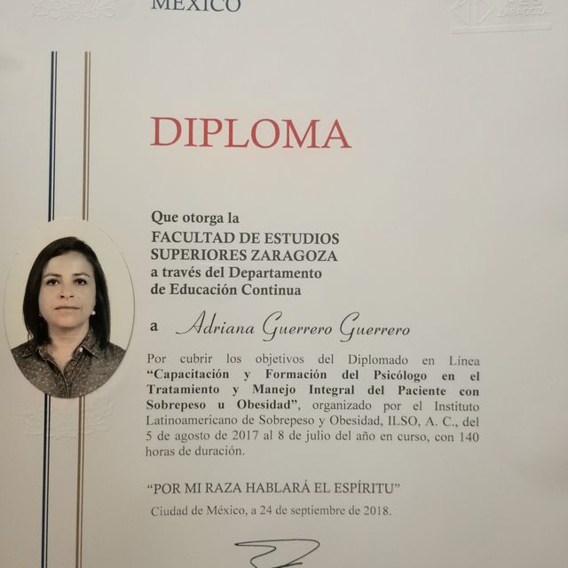 Ampliar imagen: certificate 4