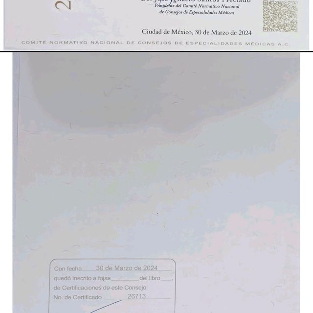 Ampliar imagen: certificate 2