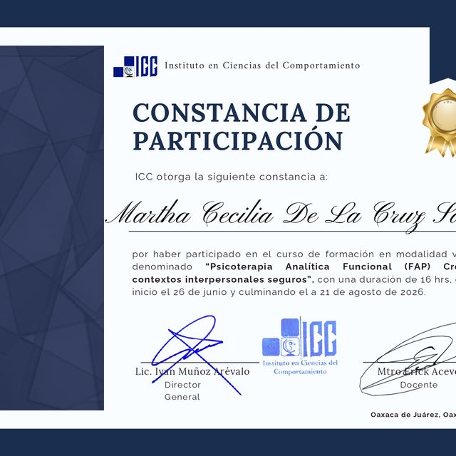 Ampliar imagen: certificate 3