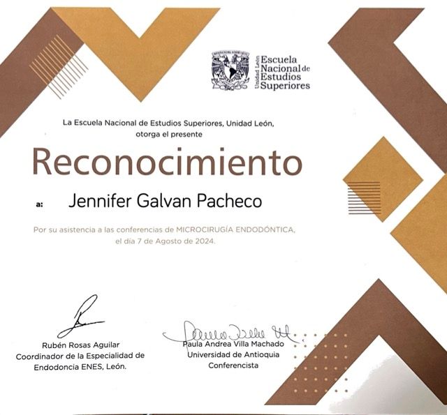 Ampliar imagen: certificate 7