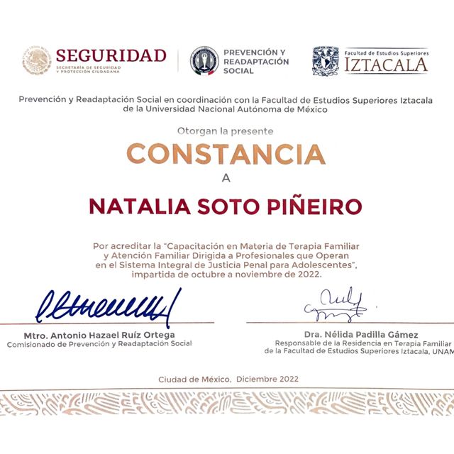 Ampliar imagen: certificate 9