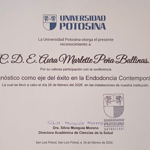 Ampliar imagen: certificate 1
