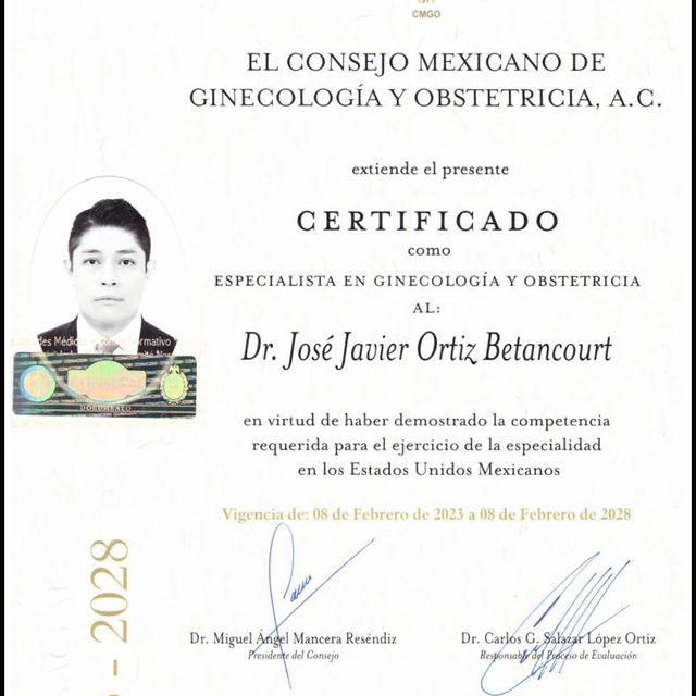 Ampliar imagen: certificate 5