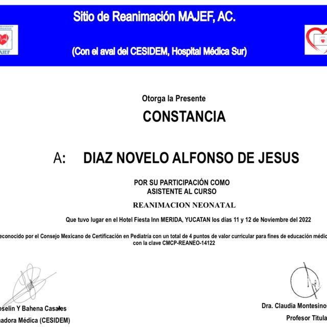 Ampliar imagen: certificate 7