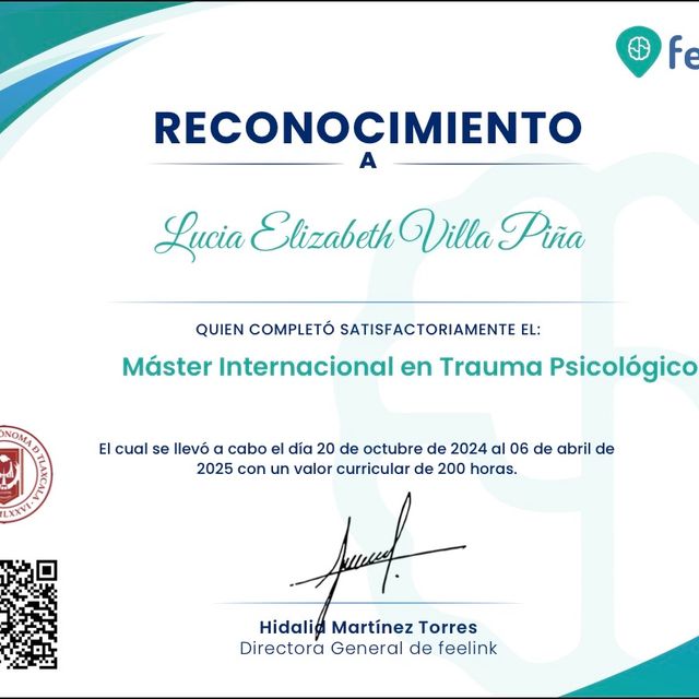 Ampliar imagen: certificate 5