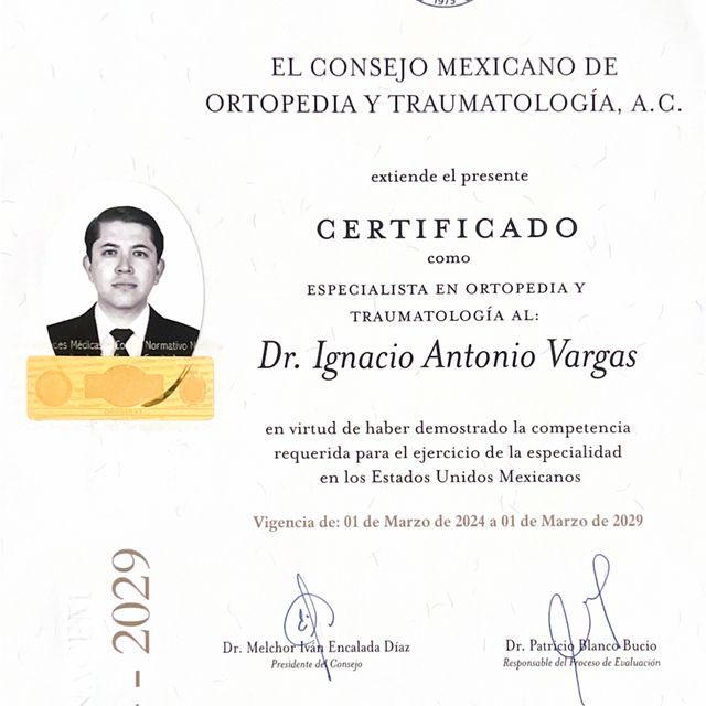 Ampliar imagen: certificate 1