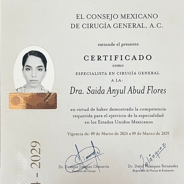 Ampliar imagen: certificate 2