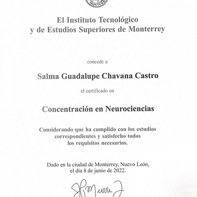 Ampliar imagen: certificate 1
