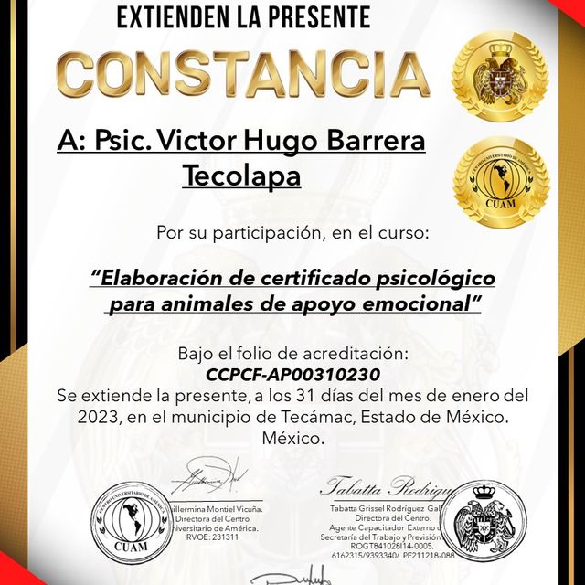 Ampliar imagen: certificate 64
