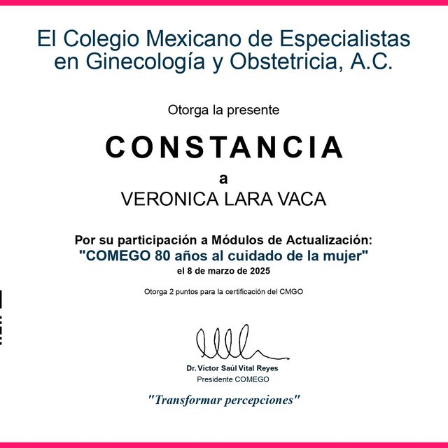Ampliar imagen: certificate 29