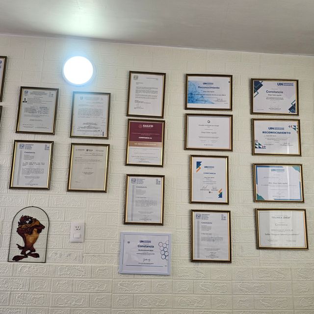 Ampliar imagen: certificate 5