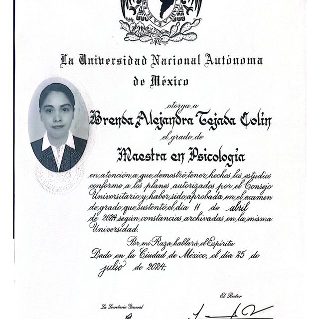 Ampliar imagen: certificate 8