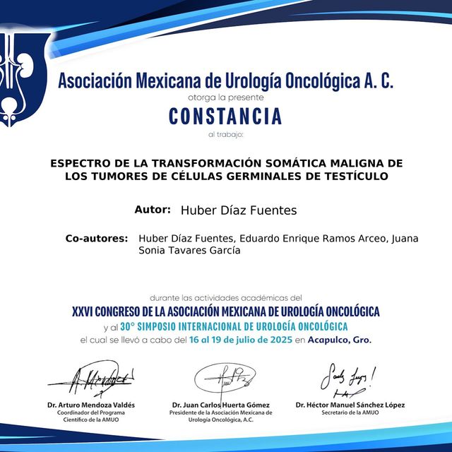 Ampliar imagen: certificate 4