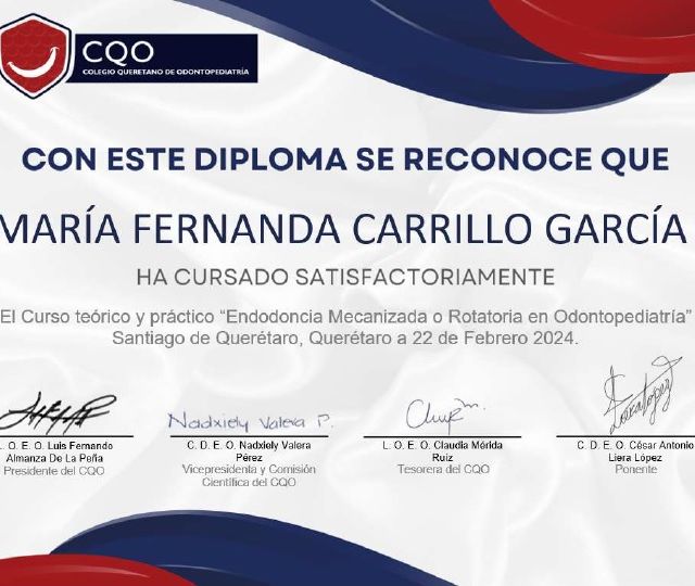 Ampliar imagen: certificate 7