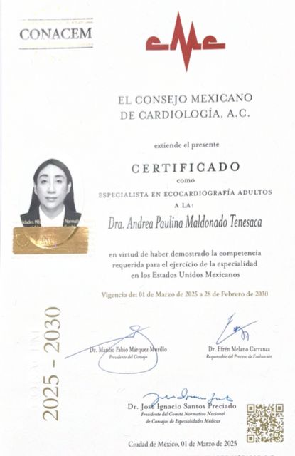 Ampliar imagen: certificate 4