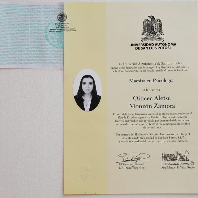 Ampliar imagen: certificate 1