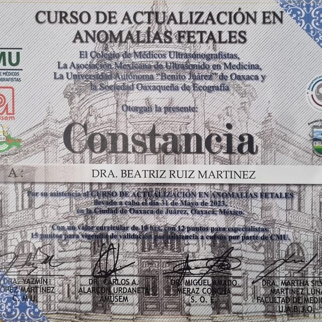 Ampliar imagen: certificate 13