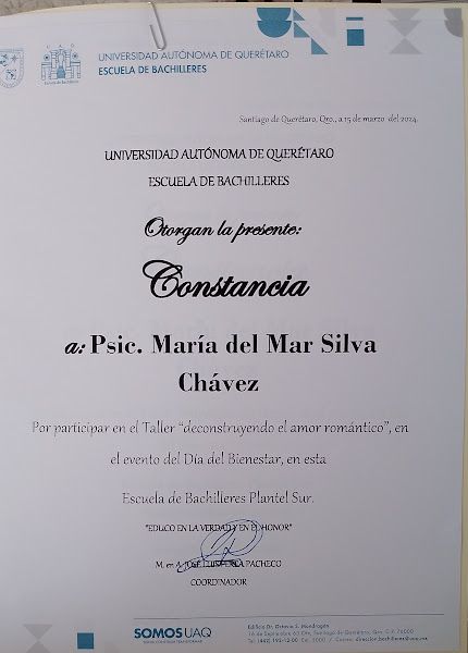 Ampliar imagen: certificate 2