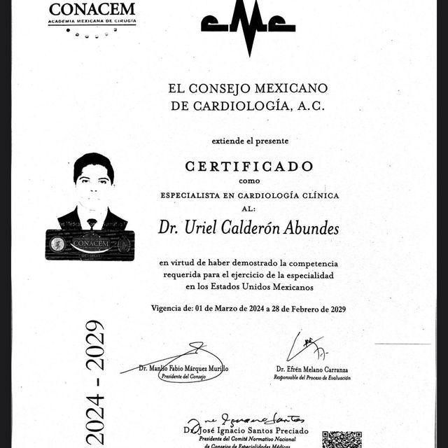 Ampliar imagen: certificate 1