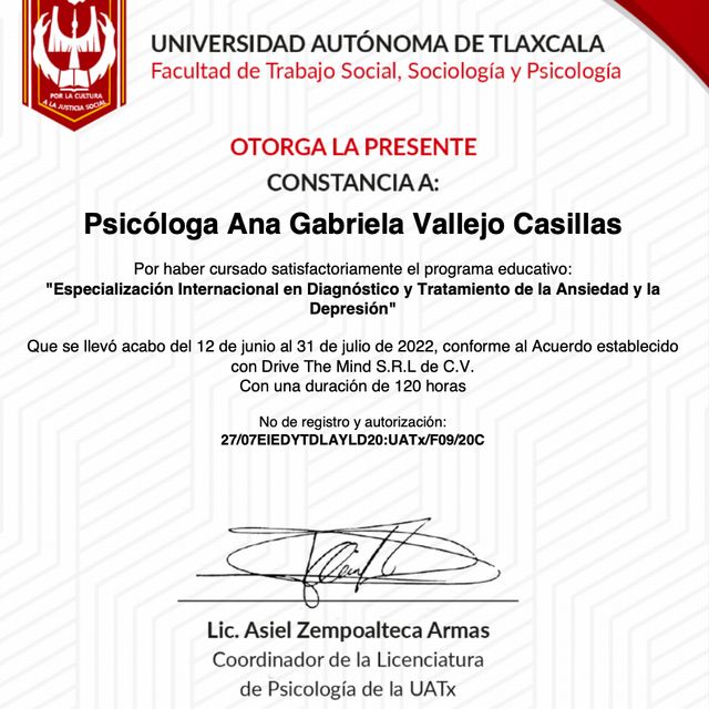Ampliar imagen: certificate 7