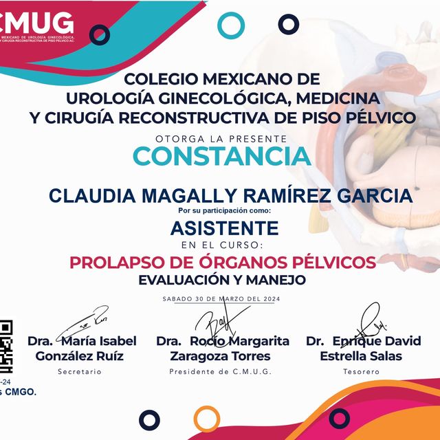 Ampliar imagen: certificate 12