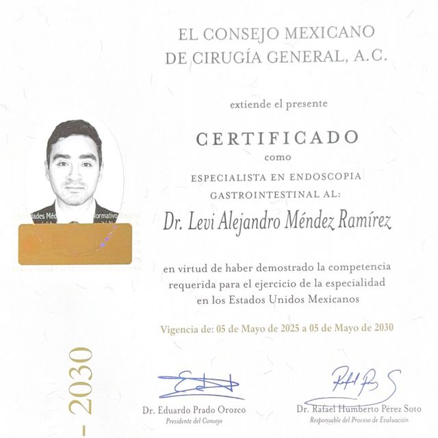 Ampliar imagen: certificate 3