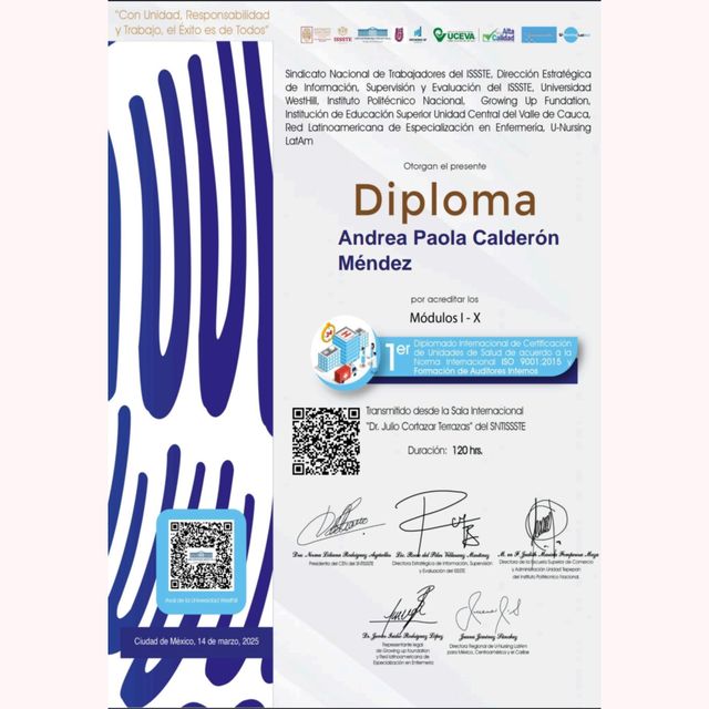 Ampliar imagen: certificate 2