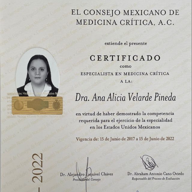 Ampliar imagen: certificate 1