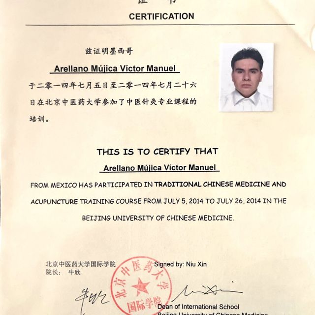 Ampliar imagen: certificate 10