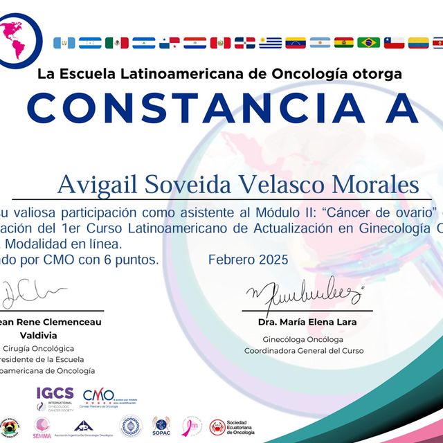 Ampliar imagen: certificate 3