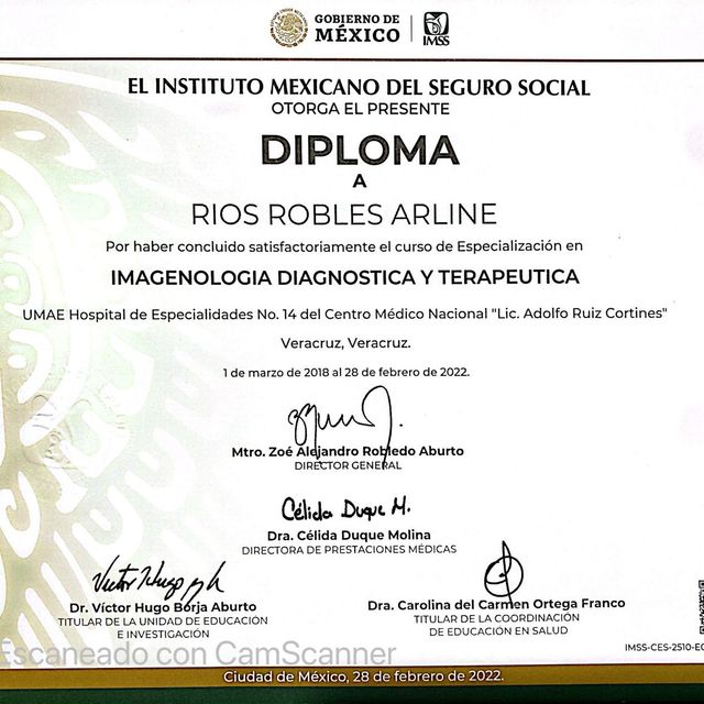 Ampliar imagen: certificate 2