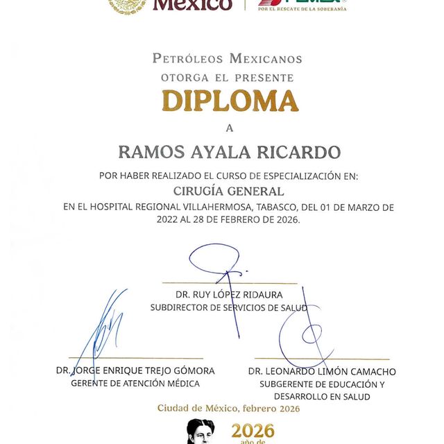 Ampliar imagen: certificate 4