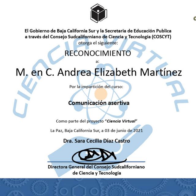 Ampliar imagen: certificate 40