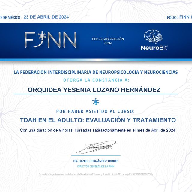 Ampliar imagen: certificate 7