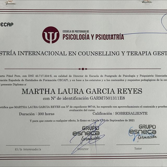 Ampliar imagen: certificate 2