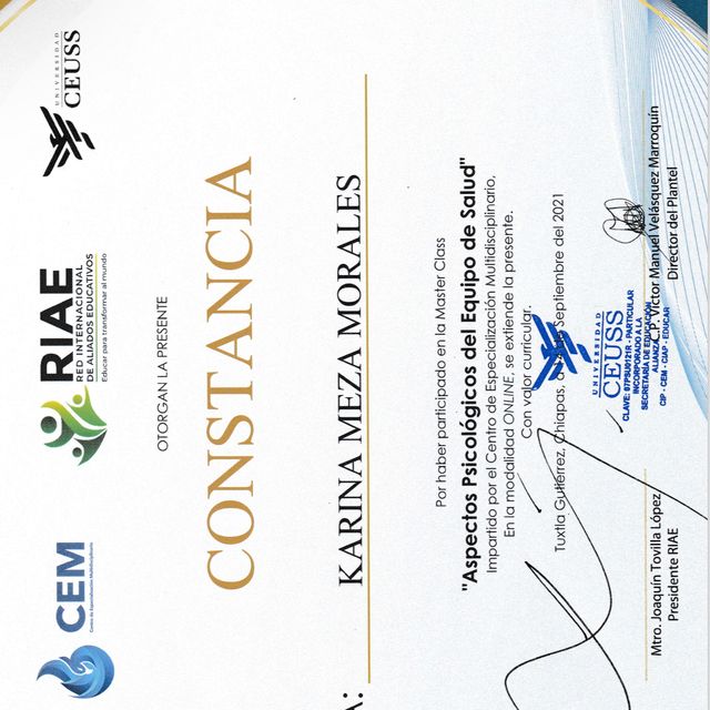 Ampliar imagen: certificate 9