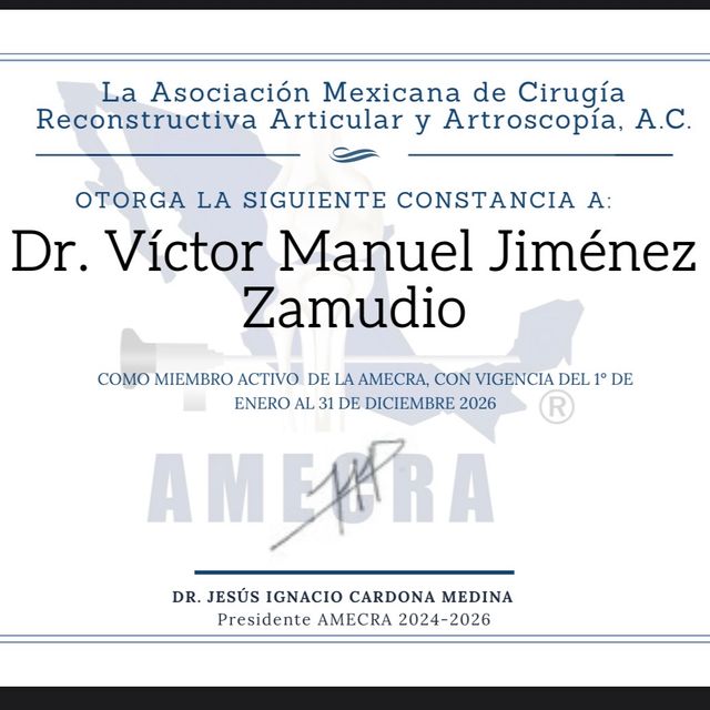 Ampliar imagen: certificate 3