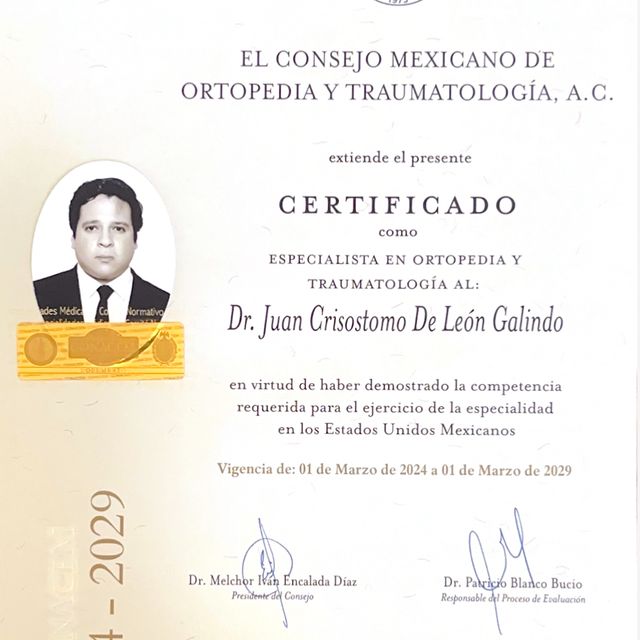 Ampliar imagen: certificate 1