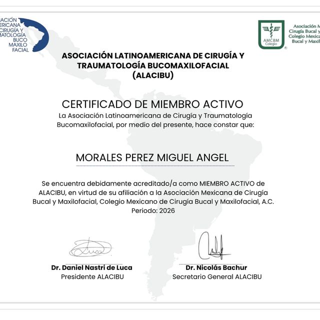 Ampliar imagen: certificate 2