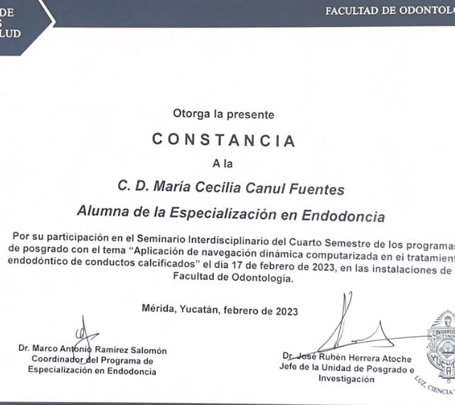 Ampliar imagen: certificate 10