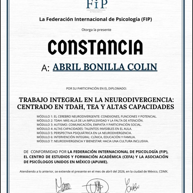 Ampliar imagen: certificate 1