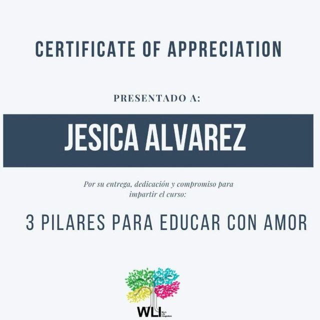 Ampliar imagen: certificate 4