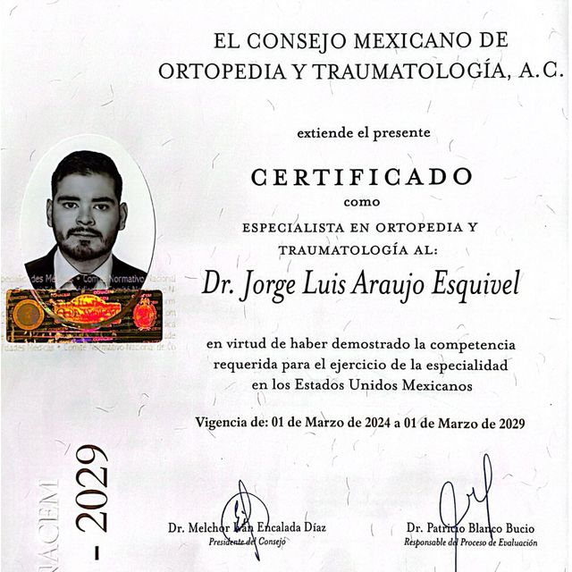Ampliar imagen: certificate 3