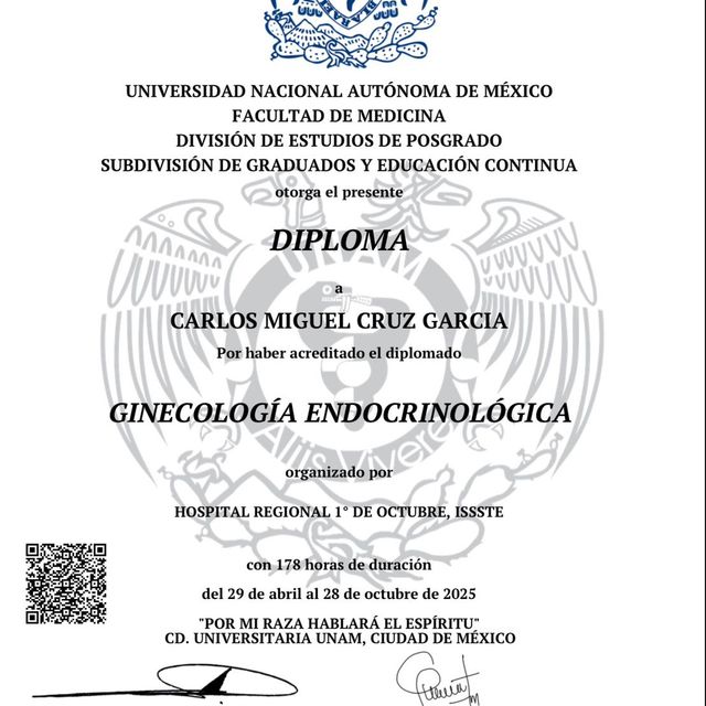 Ampliar imagen: certificate 3