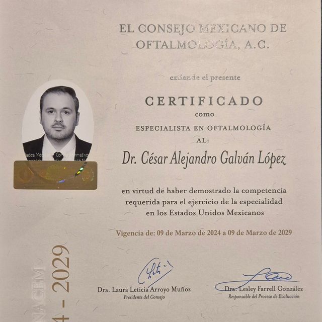 Ampliar imagen: certificate 5