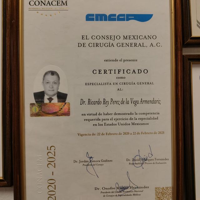 Ampliar imagen: certificate 4