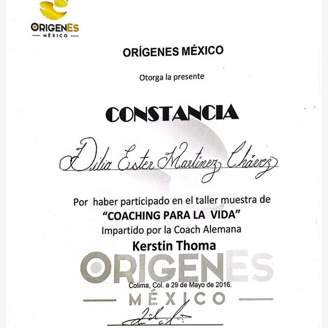 Ampliar imagen: certificate 5