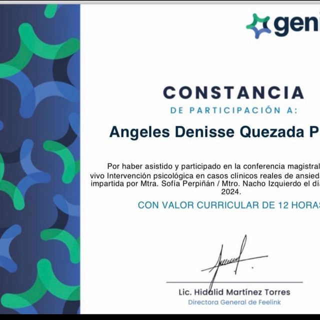 Ampliar imagen: certificate 3
